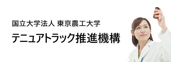 テニュアトラック推進機構